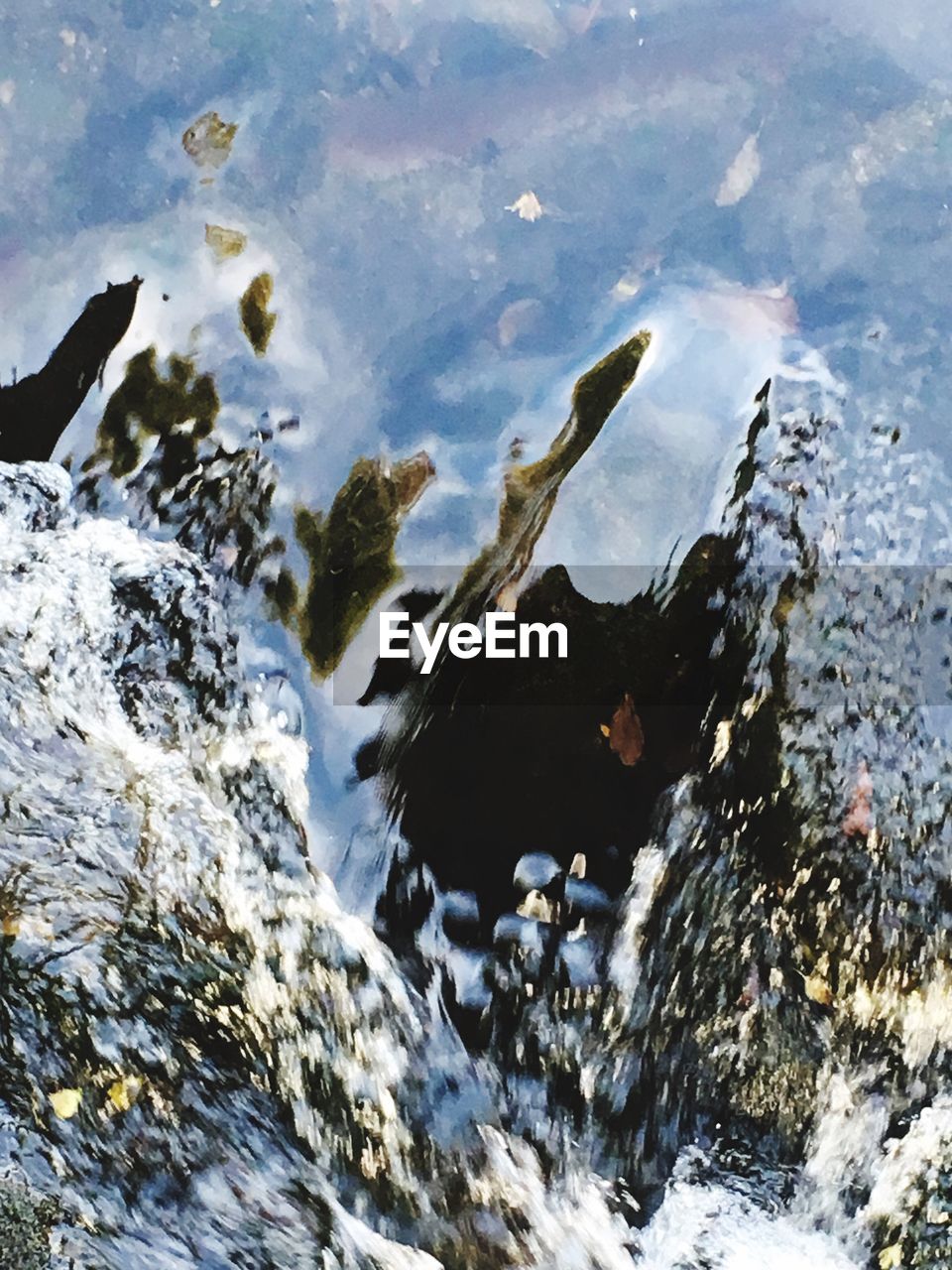 AERIAL VIEW OF WATER FLOATING ON LAKE