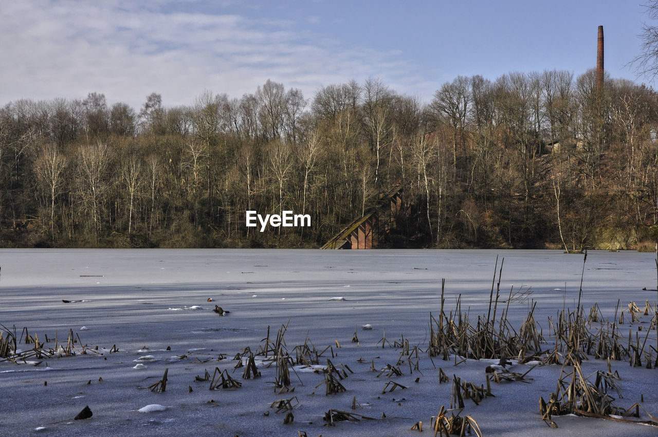 SCENIC VIEW OF FROZEN LAKE BY TREES AGAINST SKY