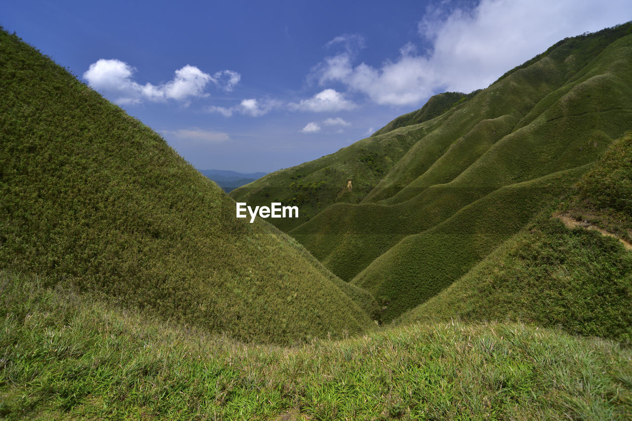 Scenic view of grassy field against sky