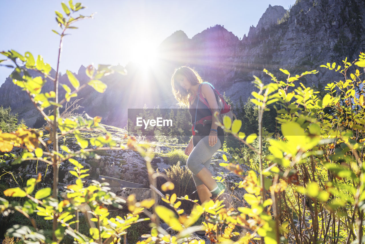 Female hiker hiking in forest against mountain at north cascades national park