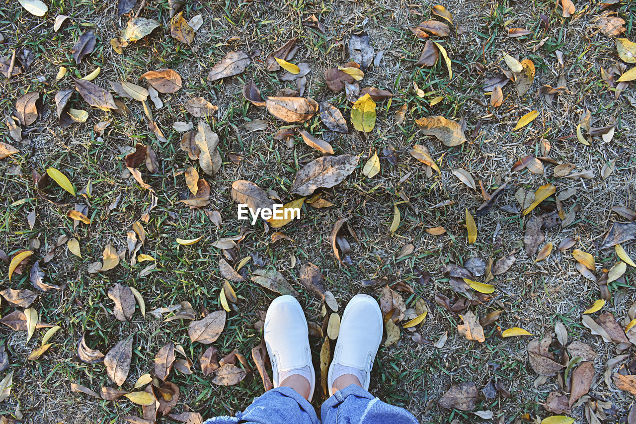 LOW SECTION VIEW OF PERSON STANDING ON FIELD DURING AUTUMN