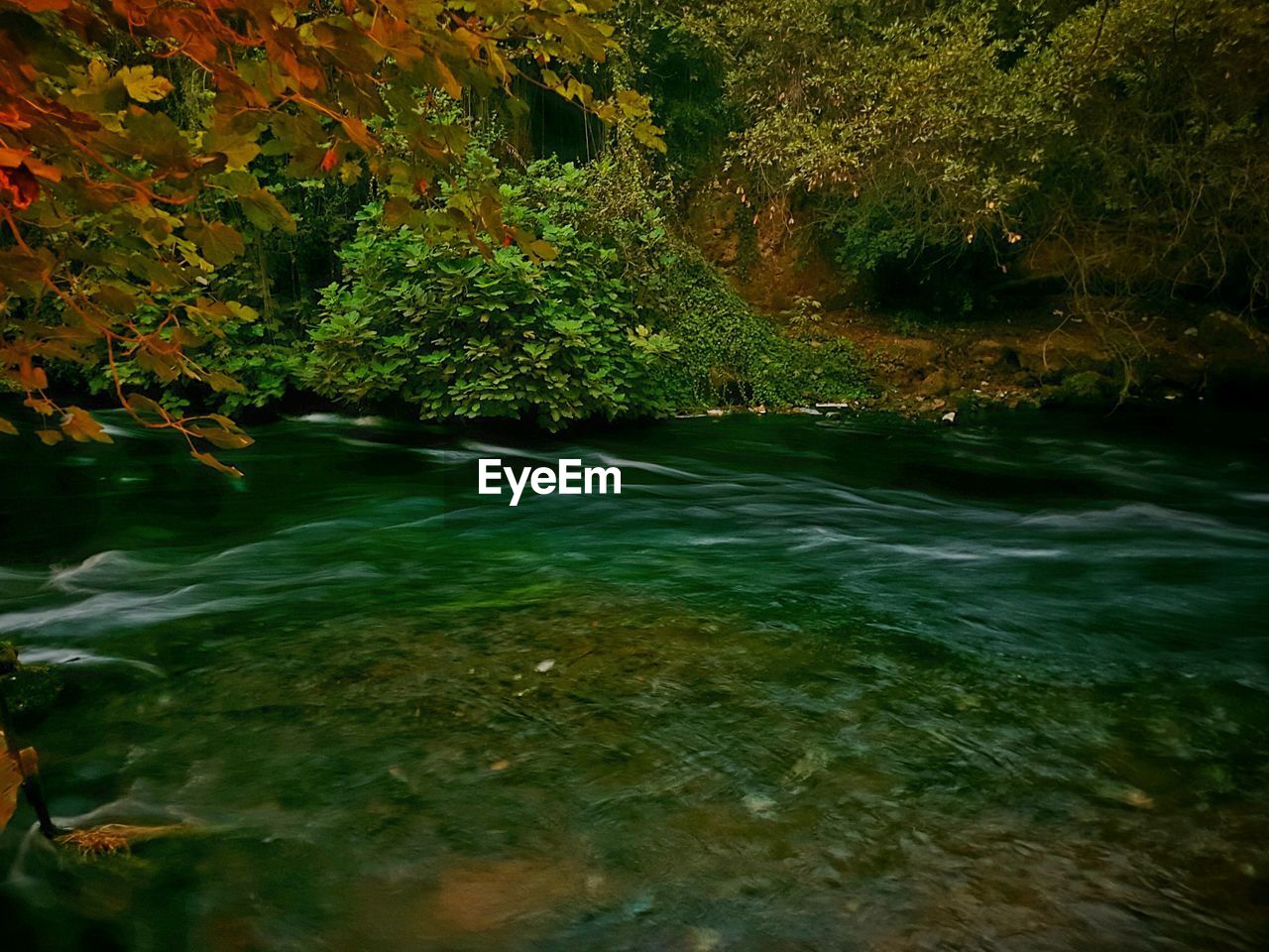 STREAM FLOWING THROUGH RIVER