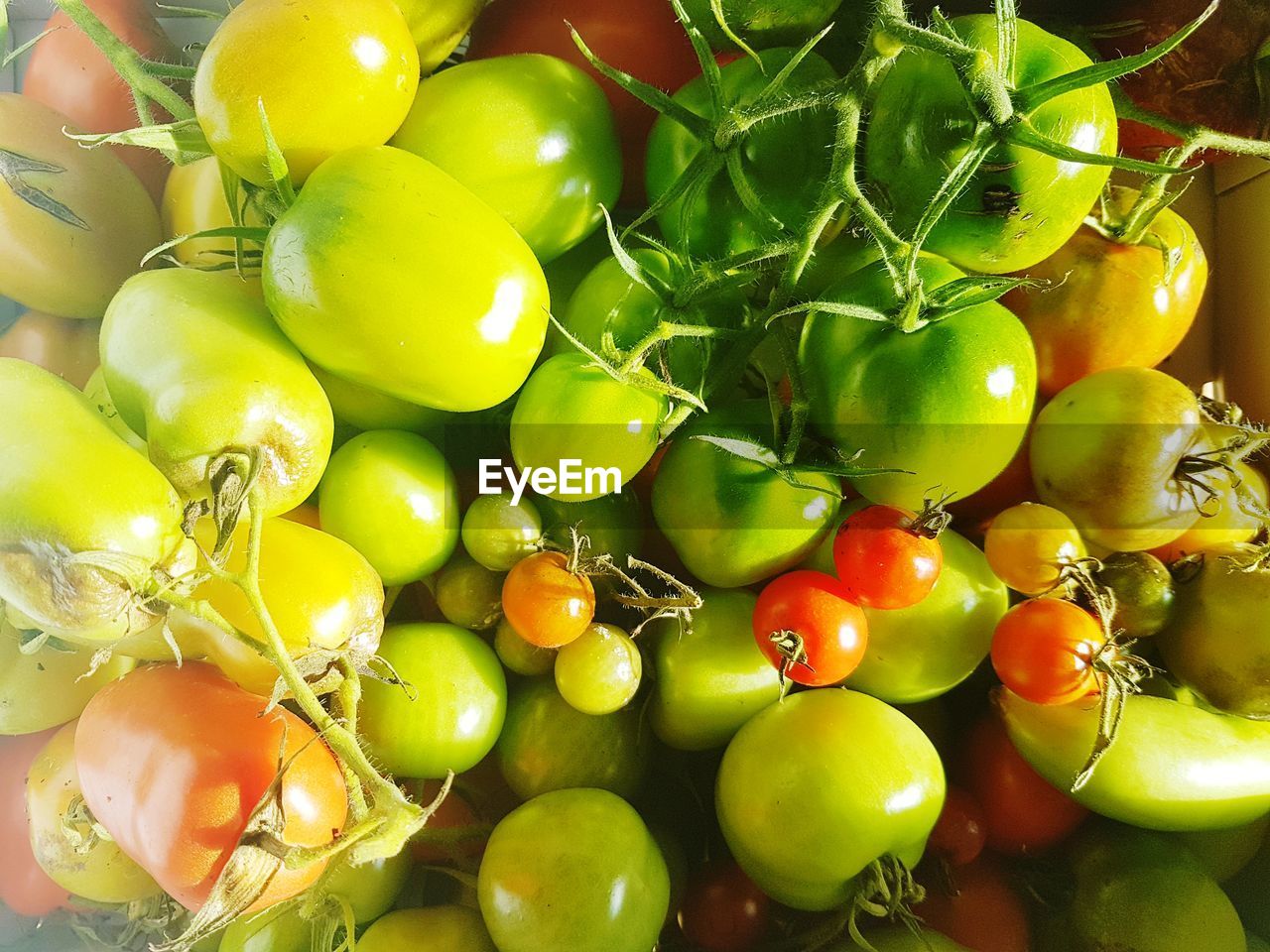 Full frame shot of green tomatoes in market