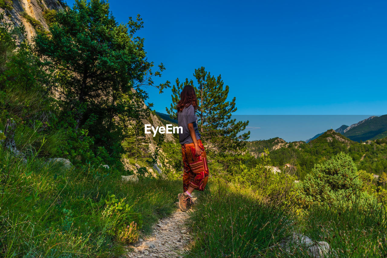 Rear view of woman amidst trees against sky