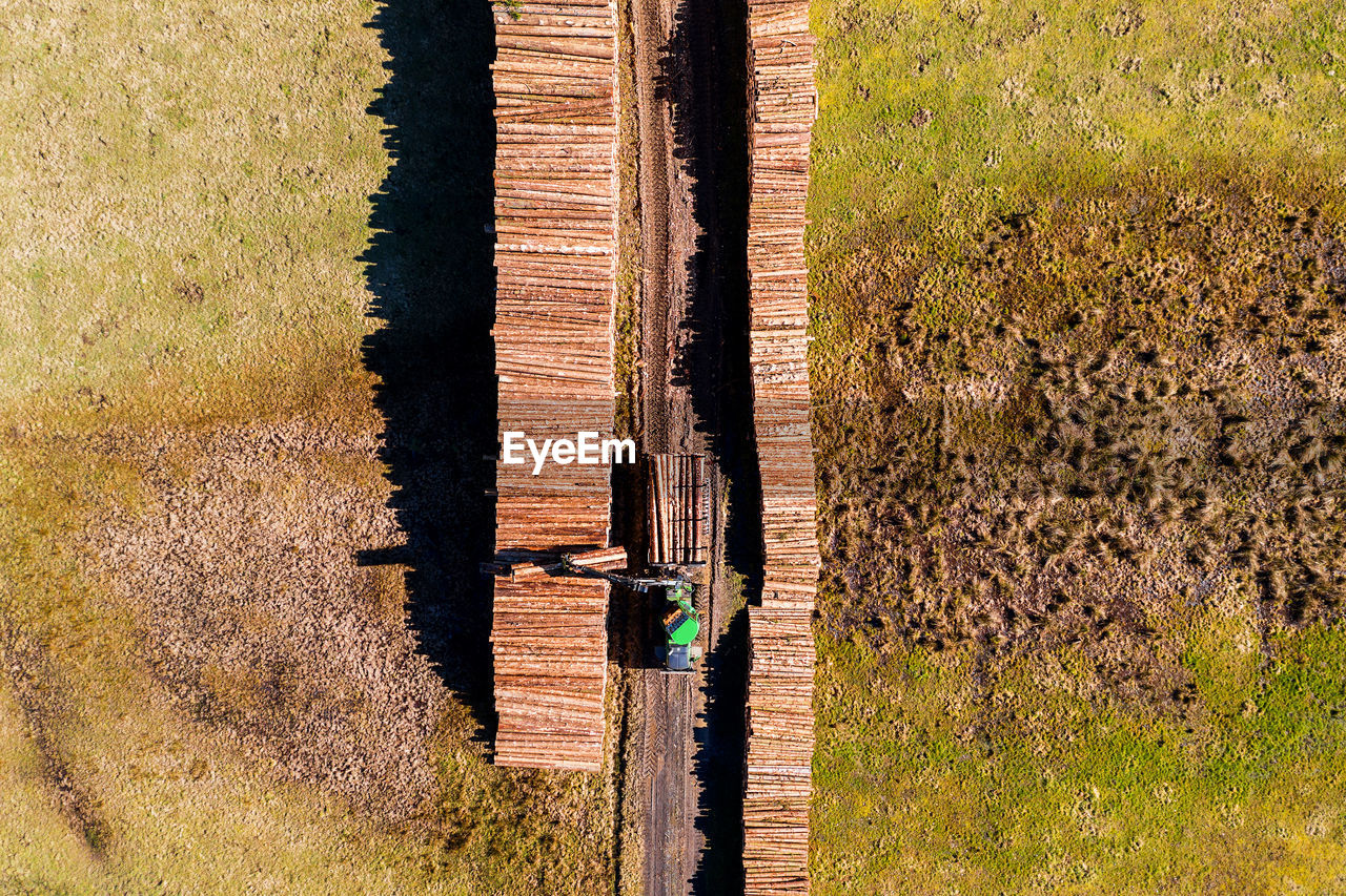 HIGH ANGLE VIEW OF TREE TRUNK ON FIELD