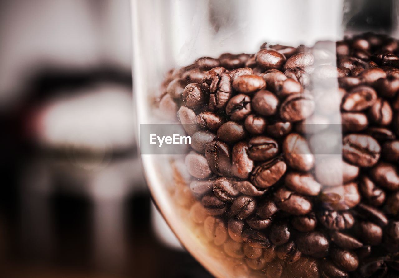 Close-up of roasted coffee beans in container