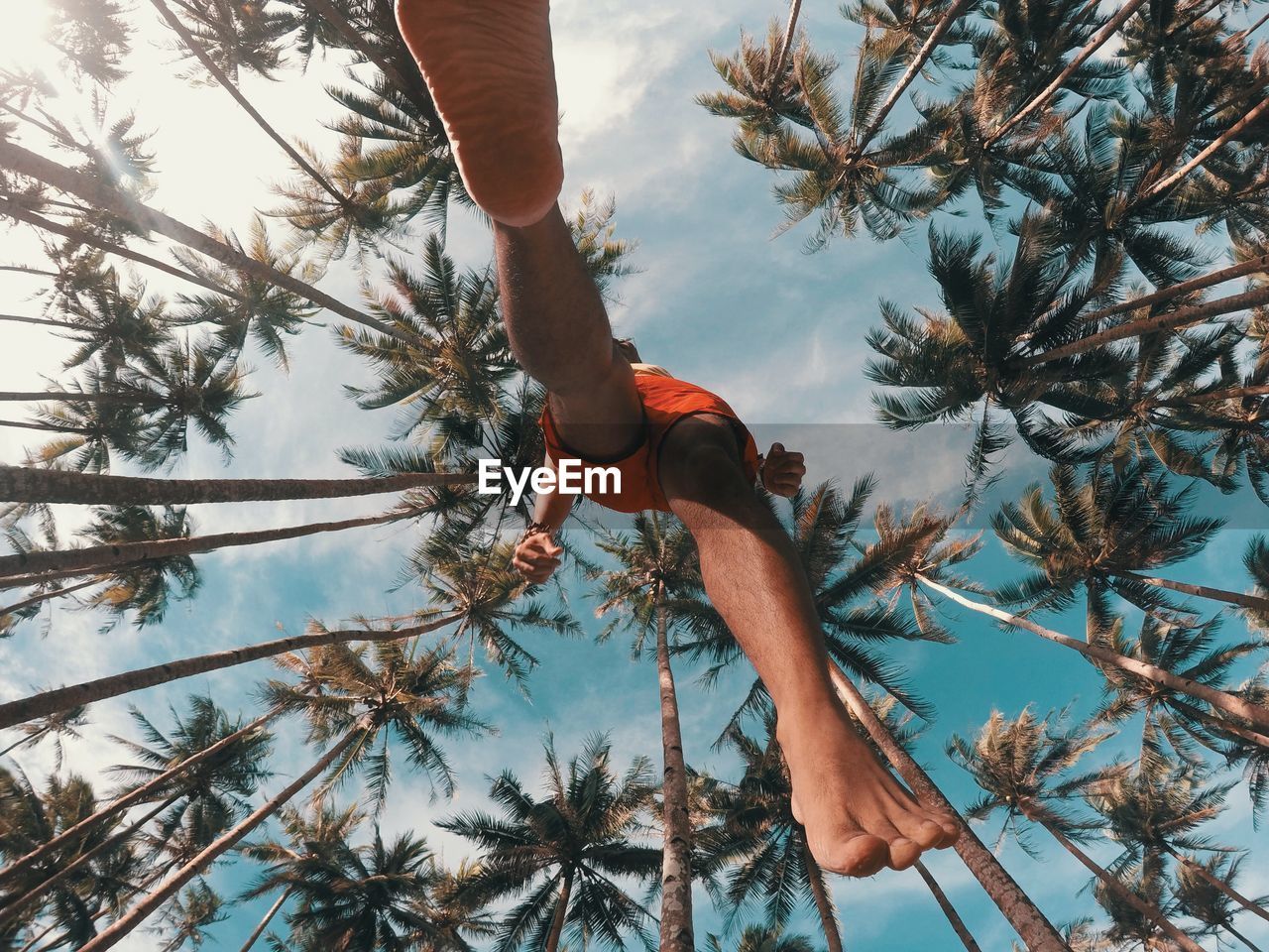 Directly below shot of man jumping against palm trees