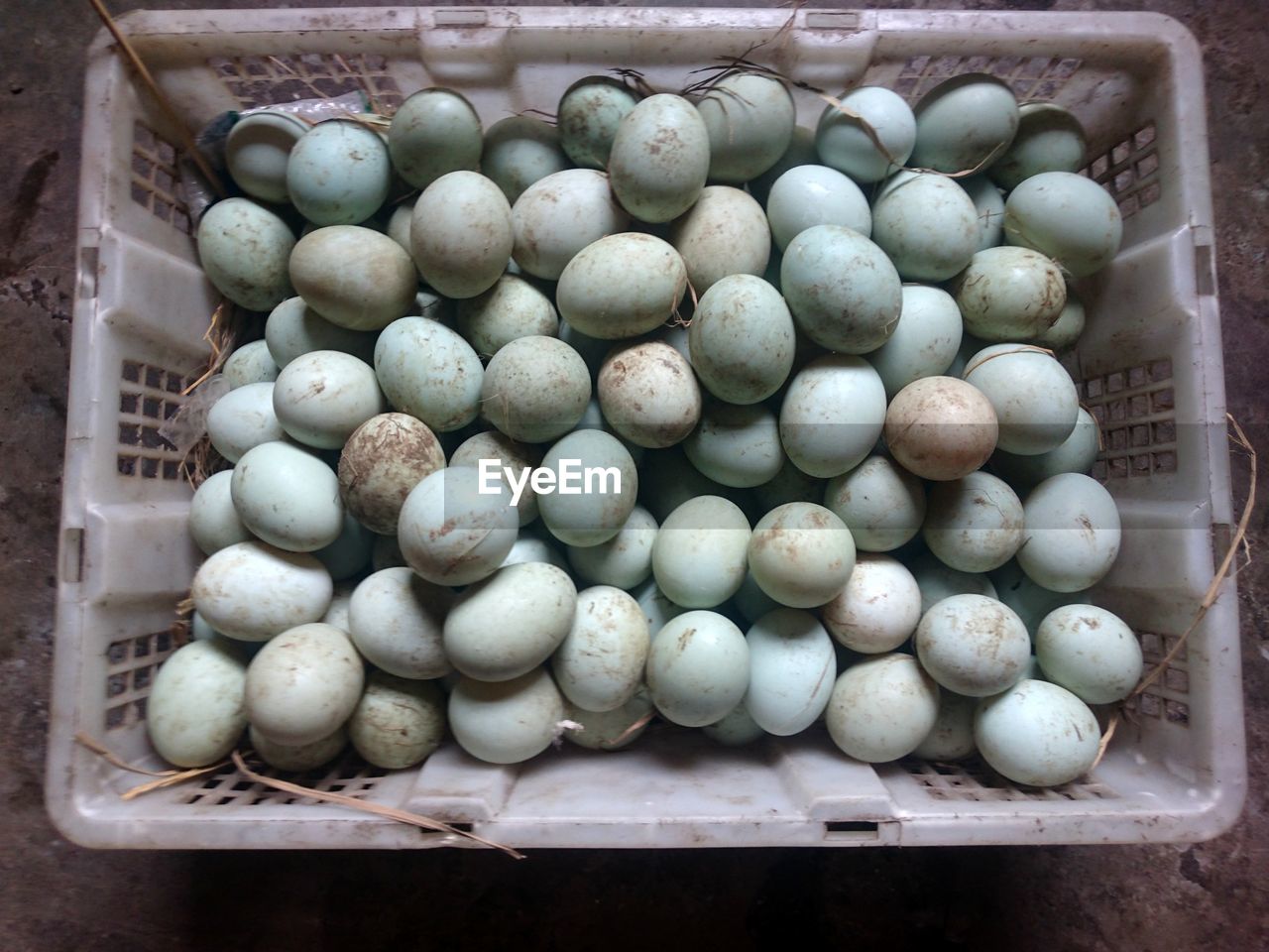 HIGH ANGLE VIEW OF EGGS IN CRATE