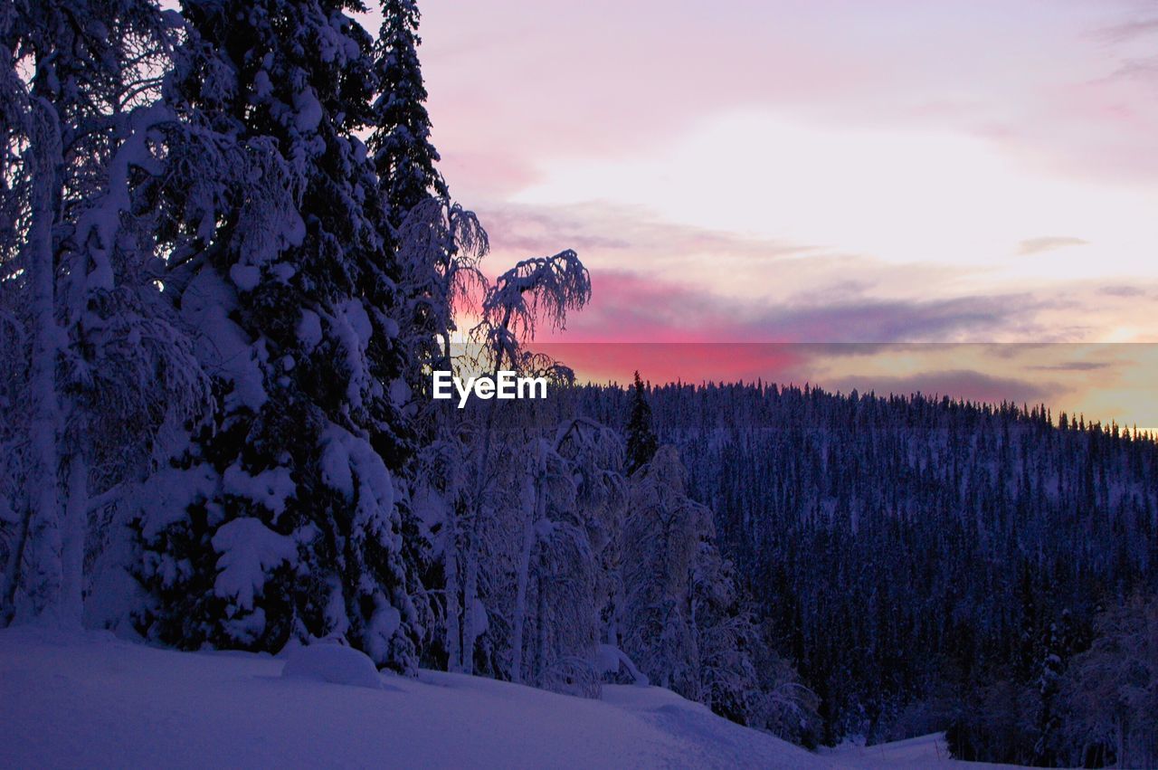 Scenic view of snow covered landscape