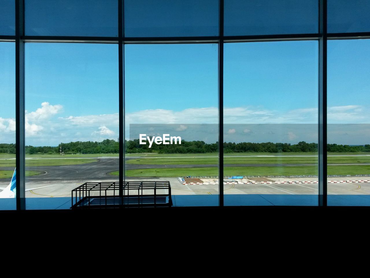 Grassy field seen through glass window