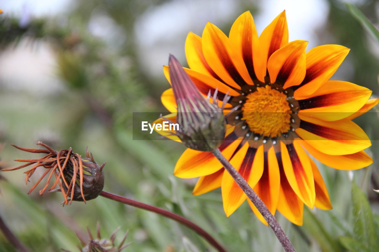 Coming full clrcle, a peaceful image  serves as a visual metaphor for stages of life, 