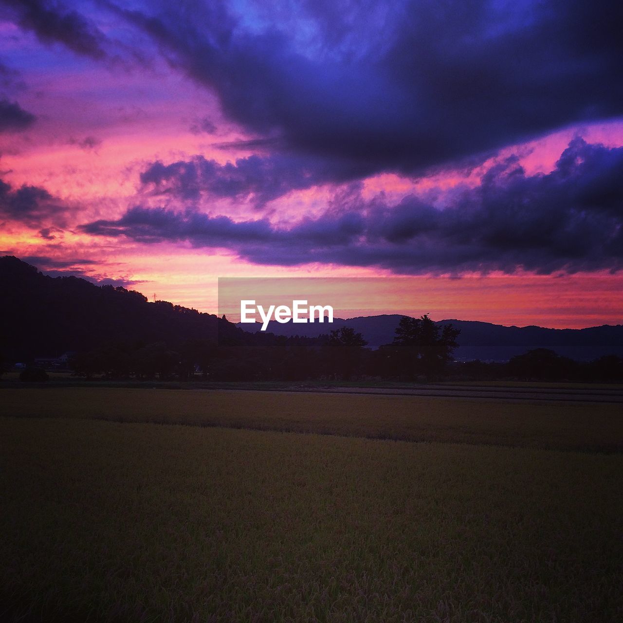 Scenic view of landscape against purple sunset sky