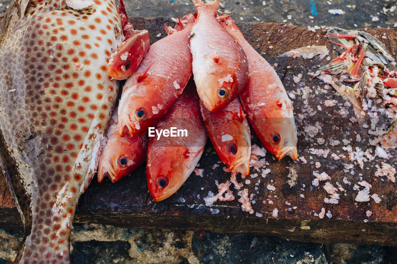 Fishes for sale at market