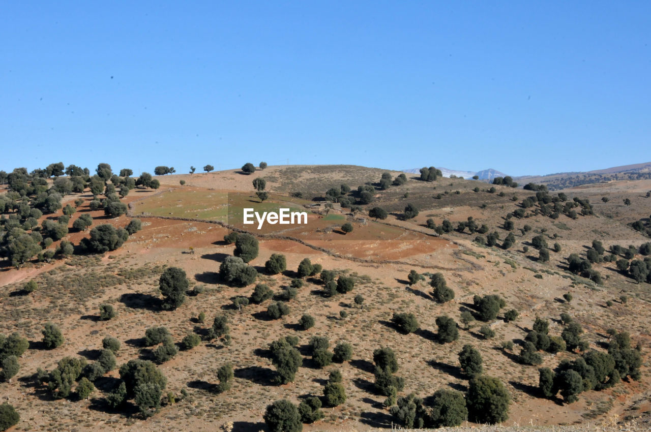 SCENIC VIEW OF DESERT AGAINST CLEAR SKY