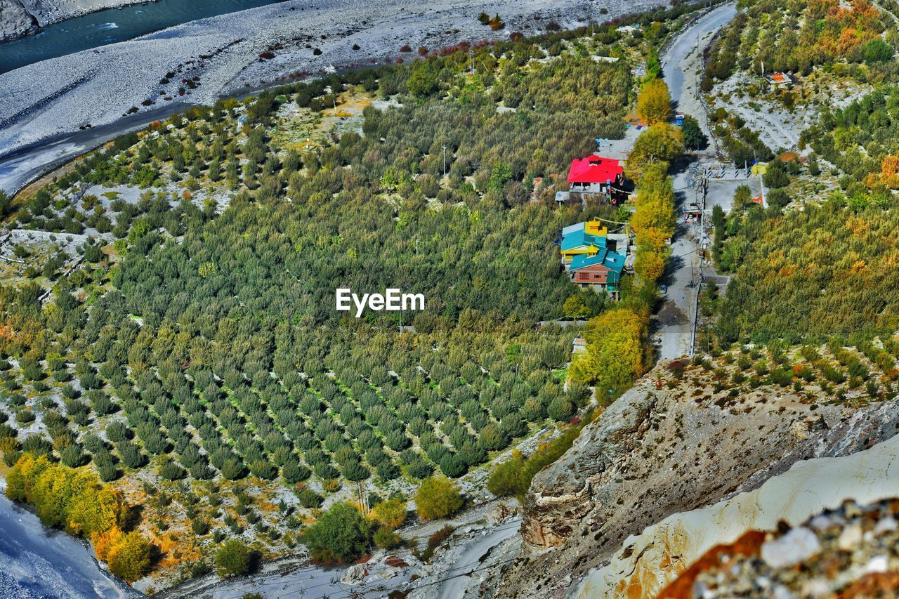 High angle view of townscape apple orchard in spiti valley himachal pradesh india