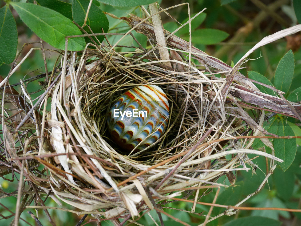 Bird's nest with single multi colored glass egg