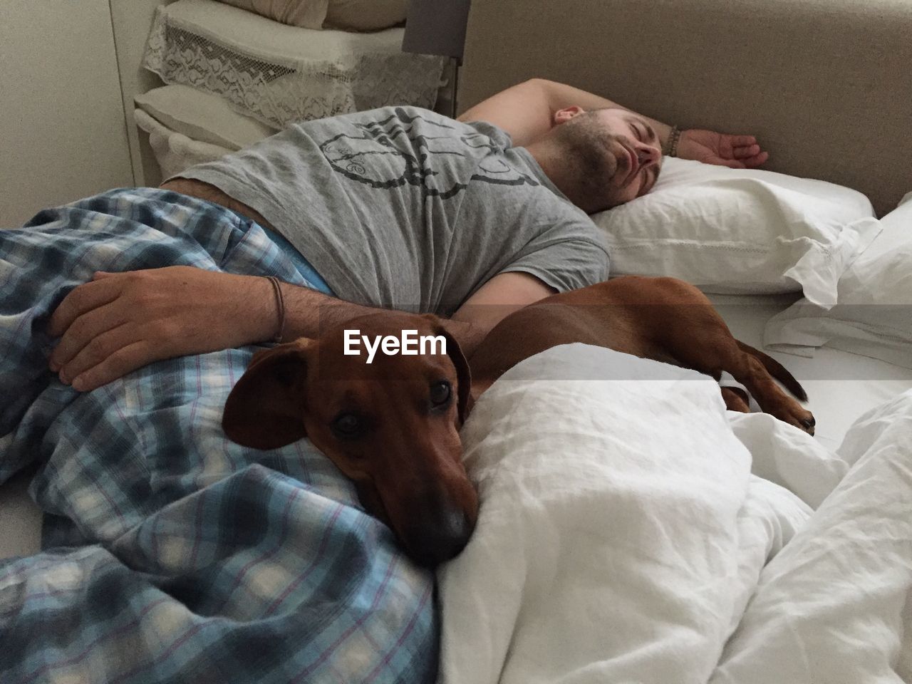 Close-up portrait of dog by man sleeping on bed at home