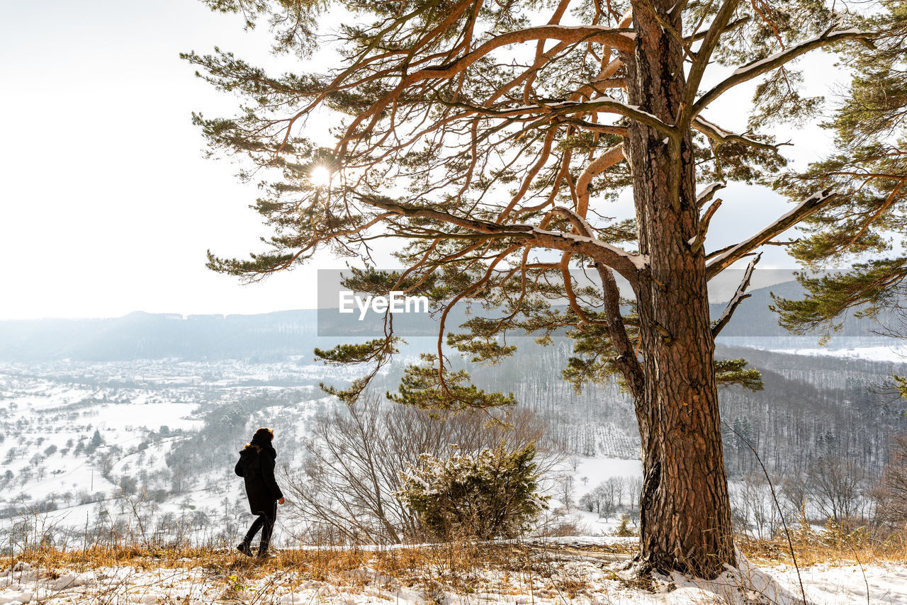 tree, winter, cold temperature, snow, nature, one person, plant, beauty in nature, land, scenics - nature, leisure activity, full length, environment, rear view, mountain, day, landscape, adult, tranquility, lifestyles, walking, non-urban scene, sky, men, standing, tranquil scene, vacation, holiday, trip, outdoors, branch, warm clothing, water, solitude, travel, wilderness, hiking, remote, activity, travel destinations, women, clothing, idyllic