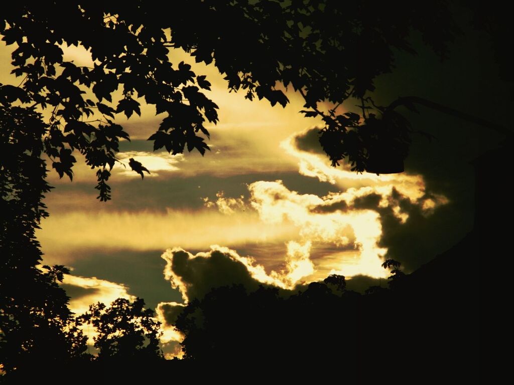 Low angle view of silhouette trees against cloudy sky