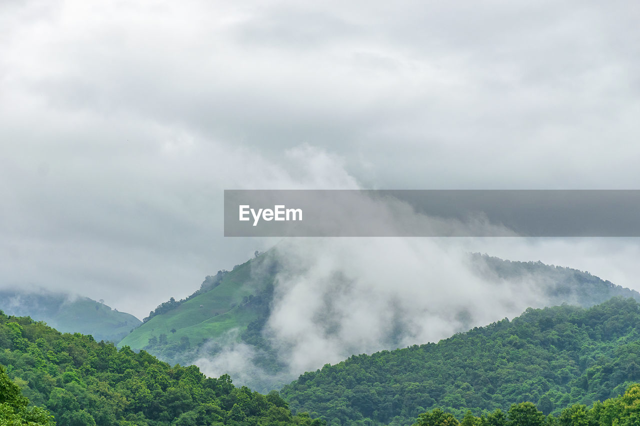 Clouds float on top of a green mountain in the morning