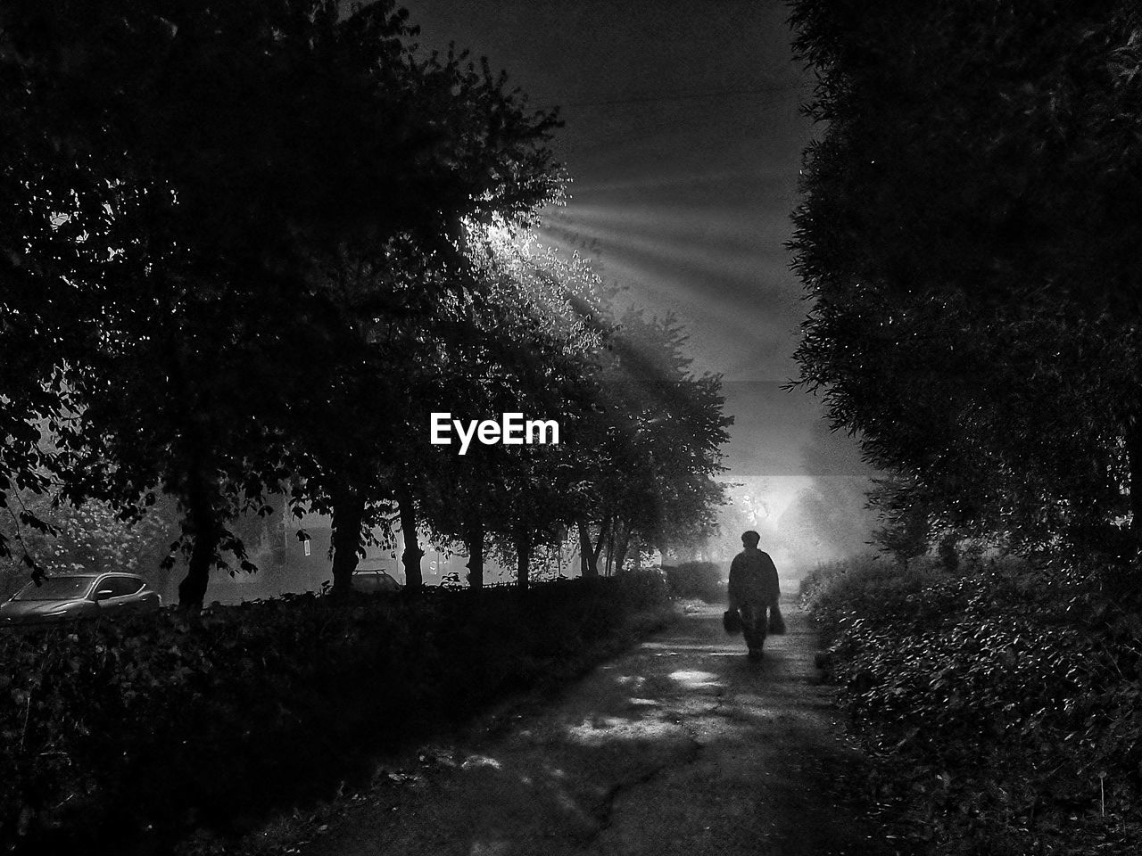 darkness, tree, plant, black and white, nature, light, night, monochrome, walking, the way forward, morning, monochrome photography, rear view, footpath, full length, silhouette, road, one person, men, transportation, black, lifestyles, growth, adult, outdoors, leisure activity, fog, land, sky, beauty in nature, mist, forest, street, tranquility, women