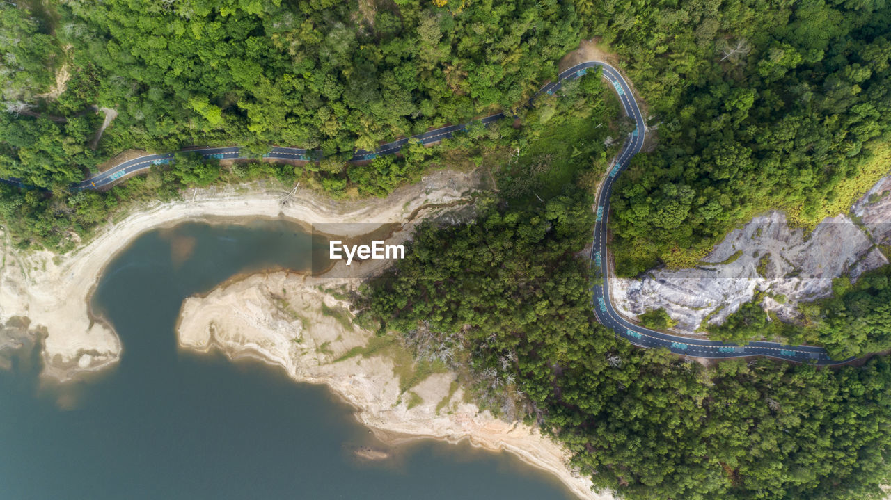 High angle view of road amidst trees