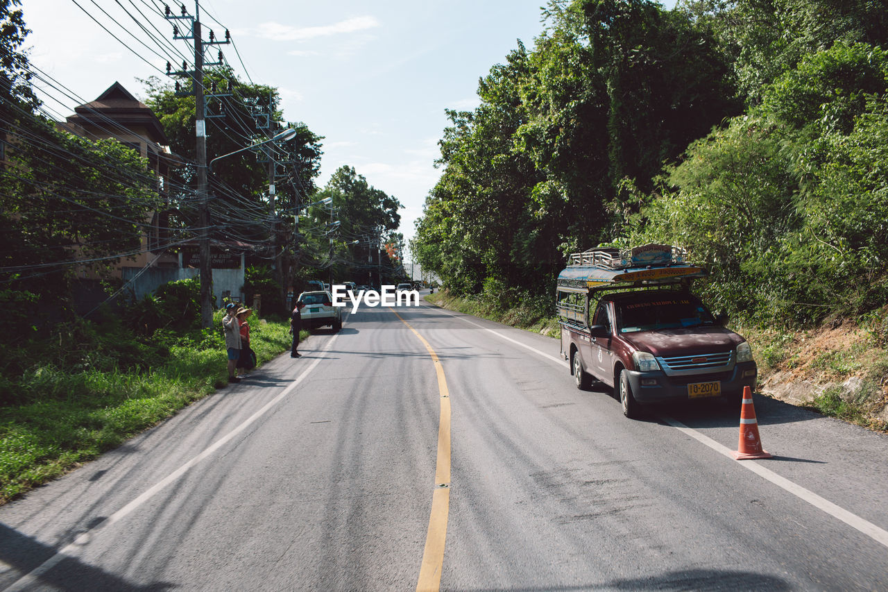 CARS ON ROAD BY TREES IN CITY