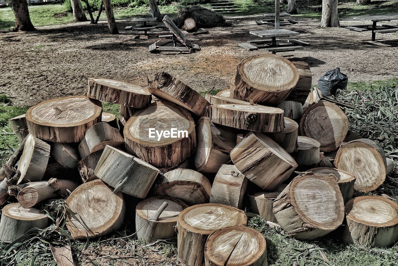 CLOSE-UP OF LOGS IN FIELD