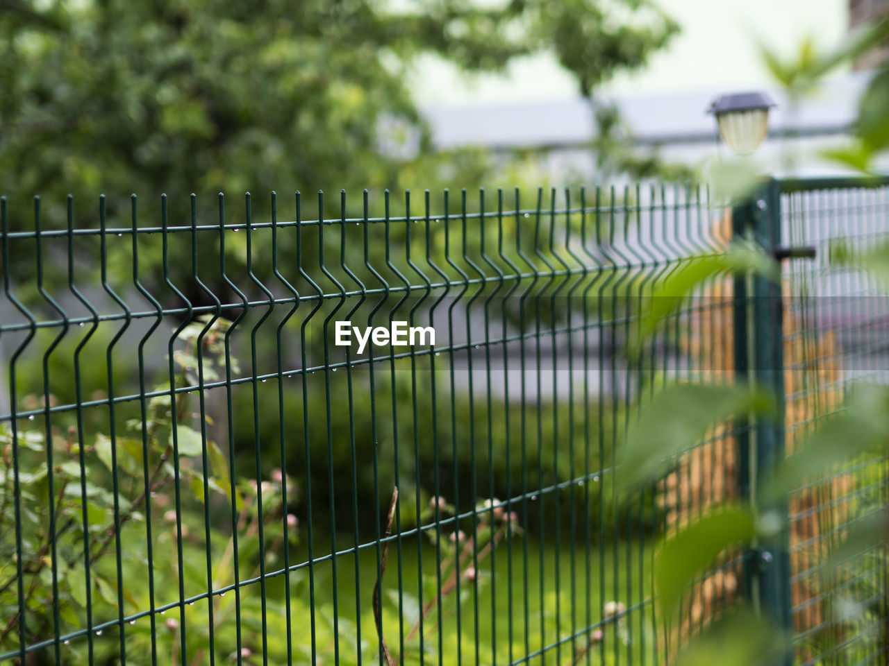 Metal mesh garden fence