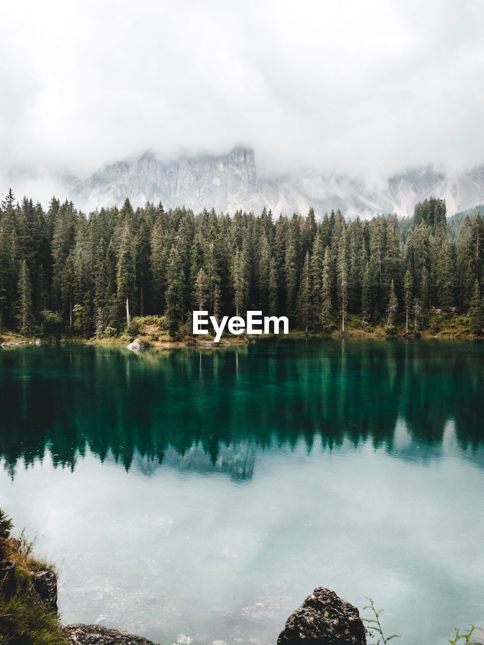 Scenic view of lake by trees against sky