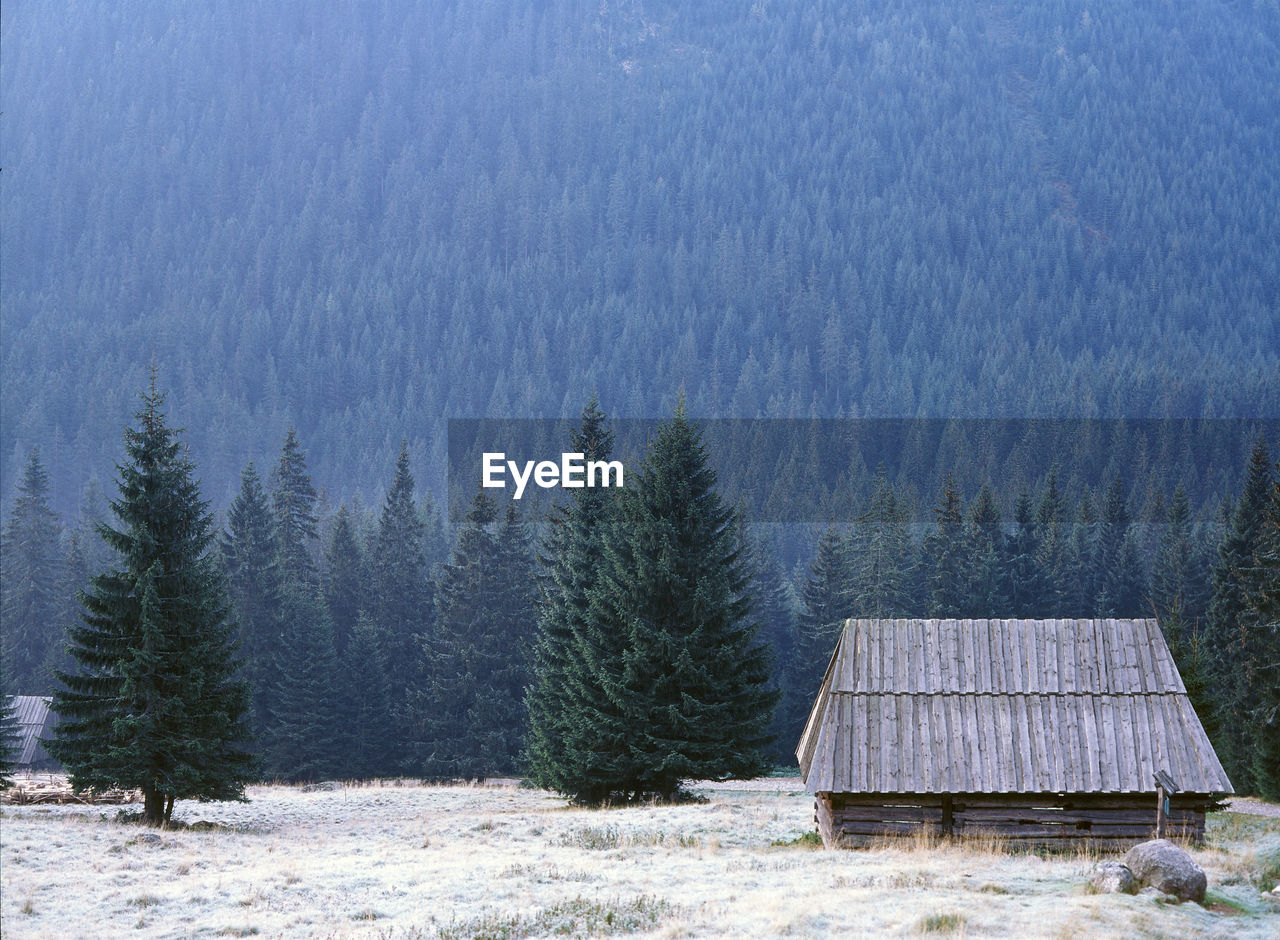 Idyllic rural scene in winter