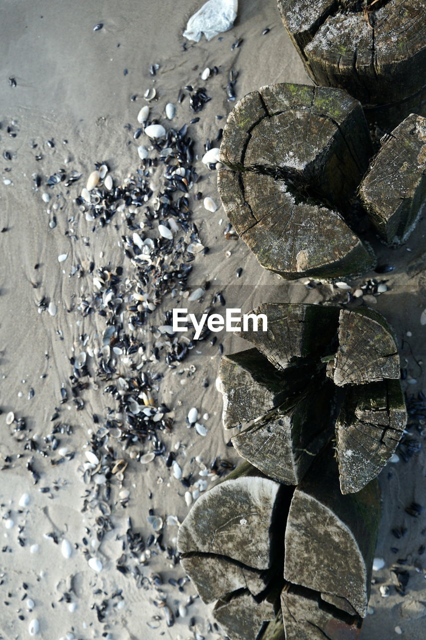 High angle view of pebbles on shore