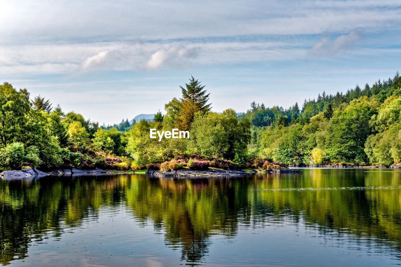 Scenic view of lake by forest against sky