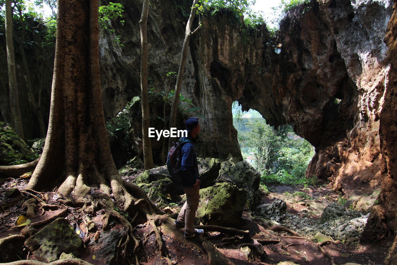 Man climbing on rock in forest