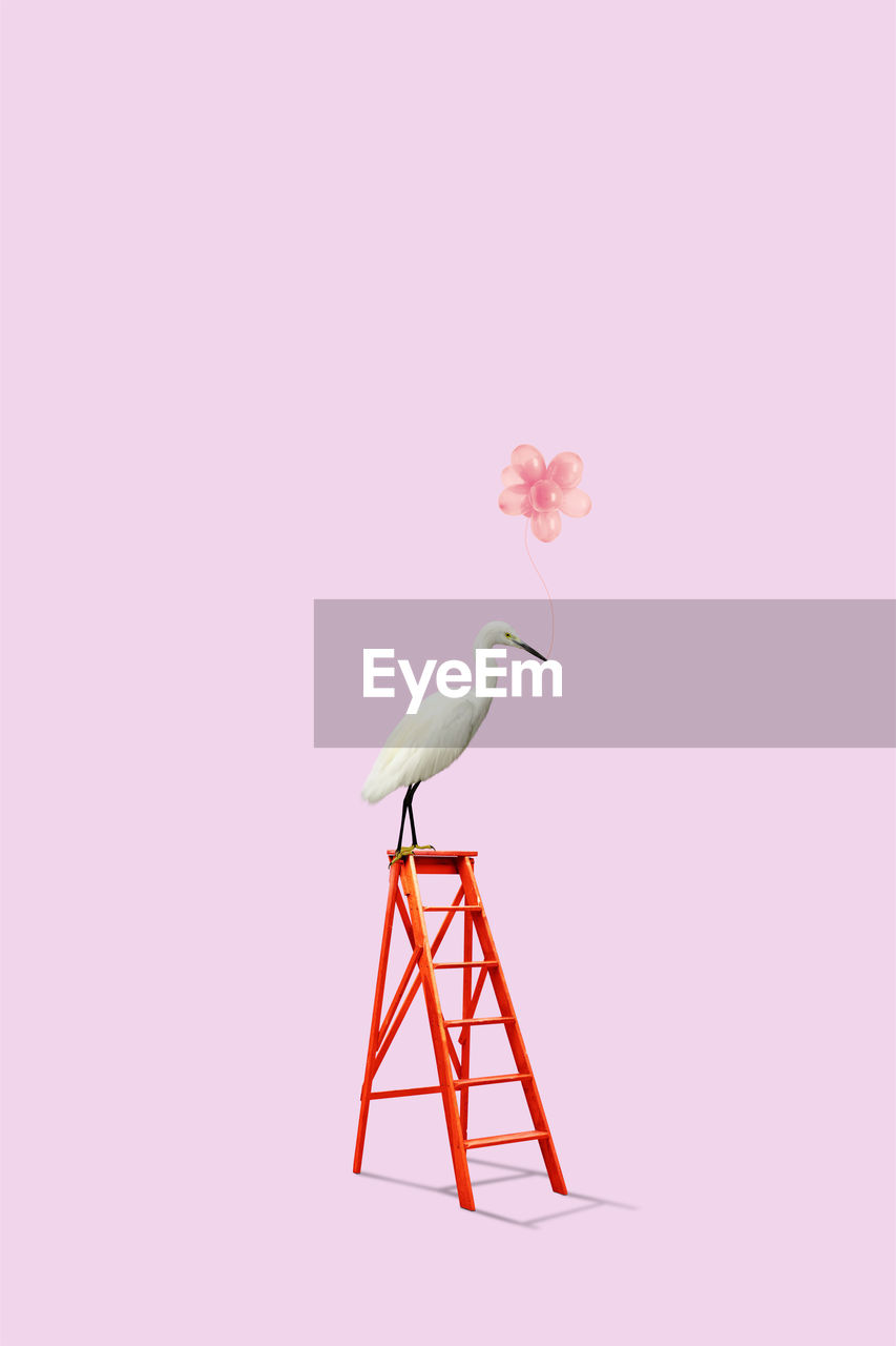 Kite on ladder over pink background