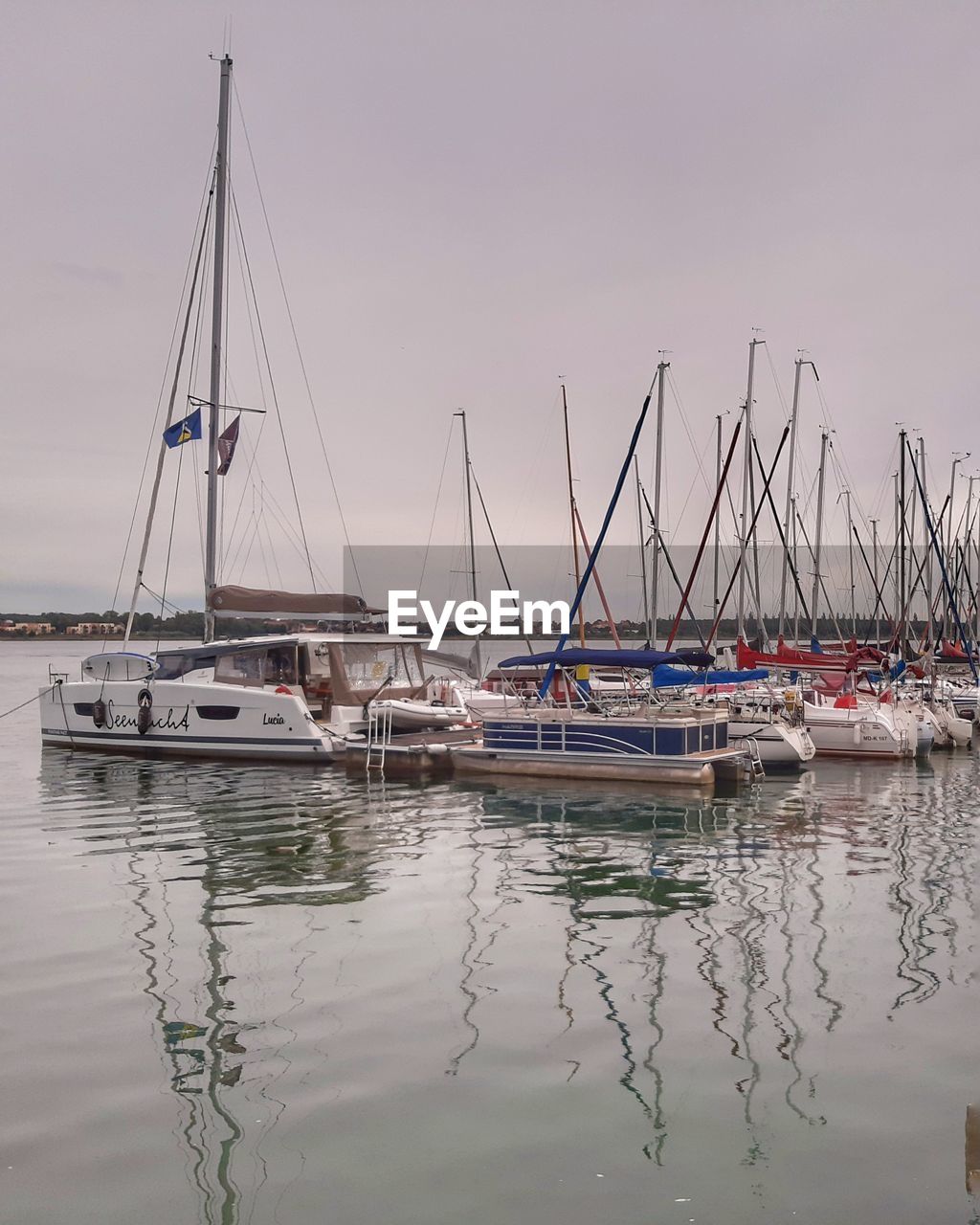 SAILBOATS MOORED IN HARBOR