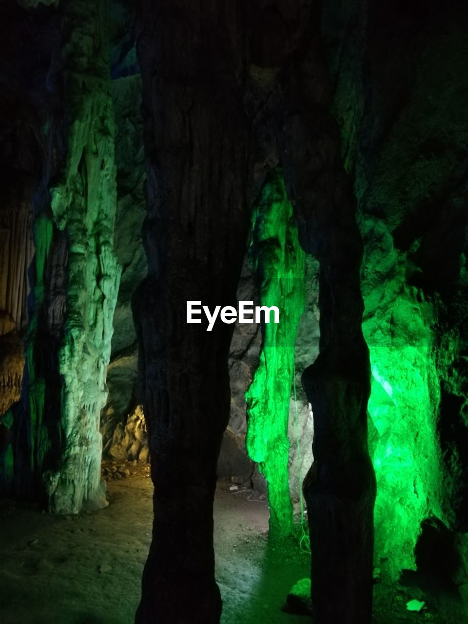 VIEW OF CAVE IN FOREST