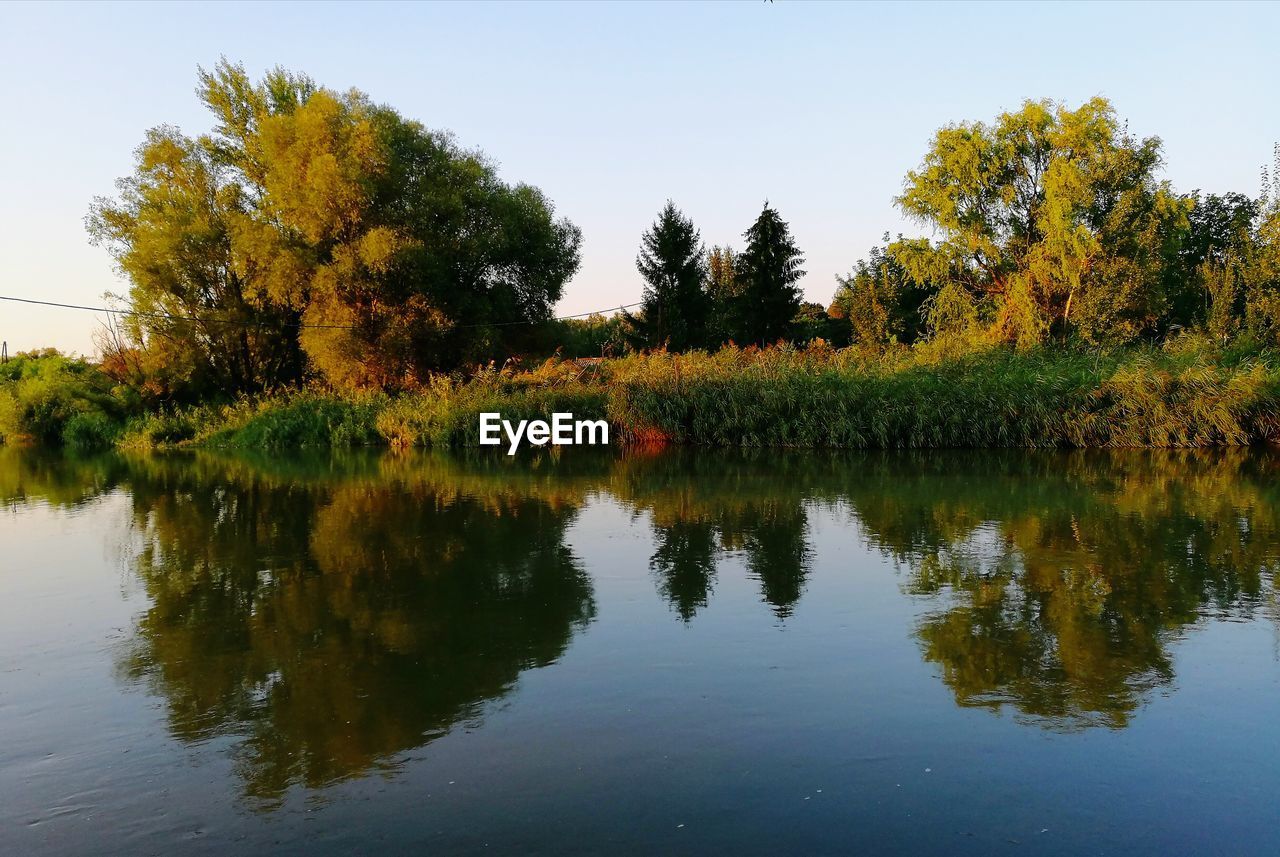 REFLECTION OF TREES ON LAKE AGAINST SKY