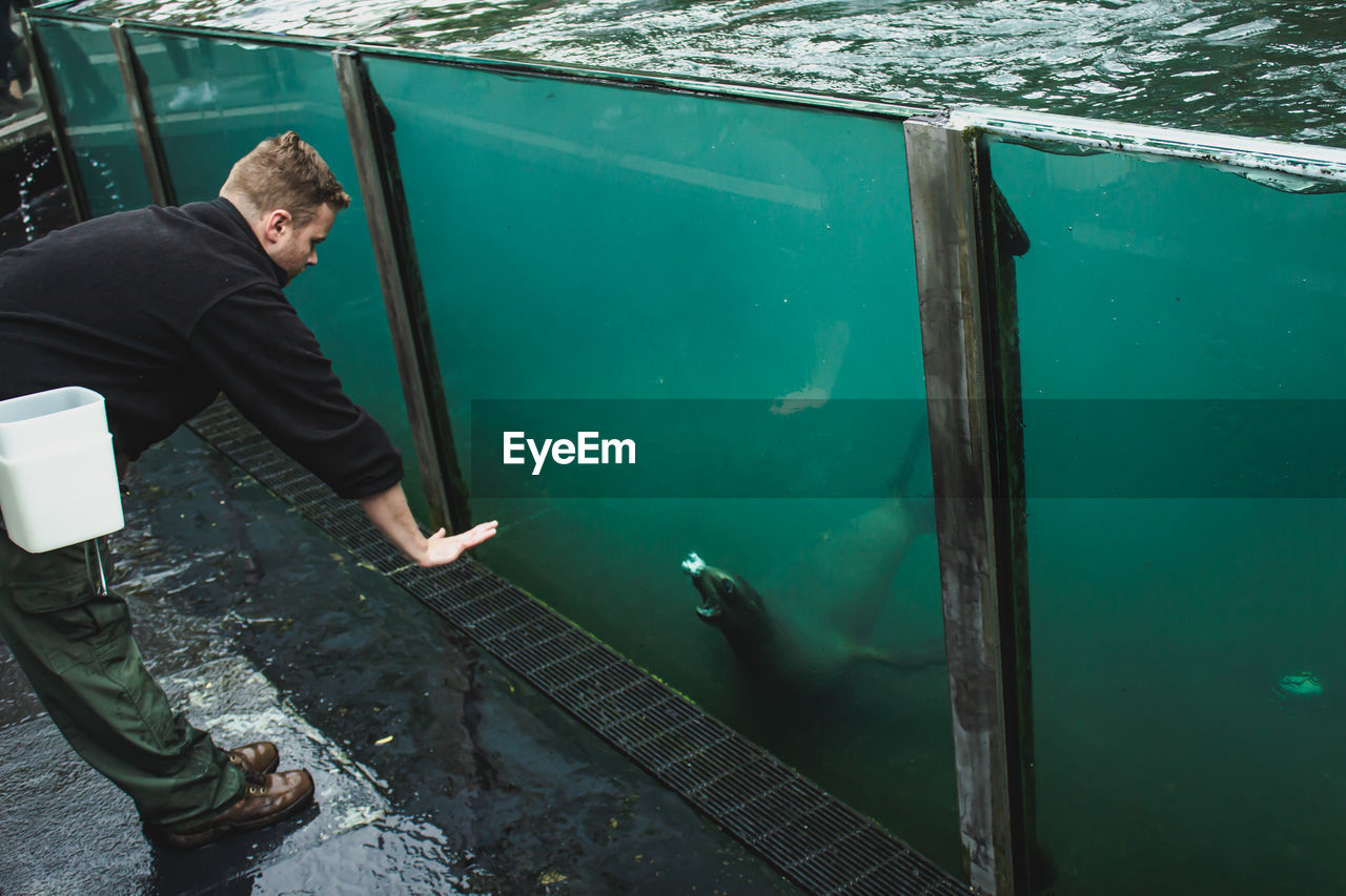 Side view of man standing in front of a seal at the central park zoo