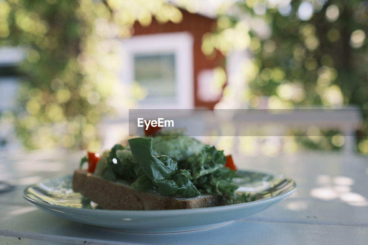 food and drink, food, green, healthy eating, plate, vegetable, freshness, wellbeing, produce, no people, focus on foreground, plant, nature, fruit, table, meal, dish, day, flower, outdoors, salad