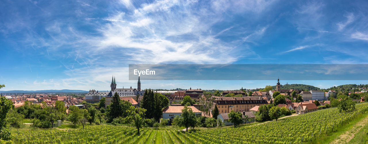 PANORAMIC VIEW OF TREES AND BUILDINGS AGAINST SKY