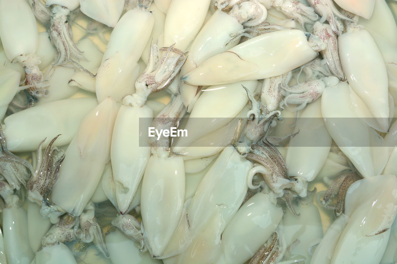 FULL FRAME SHOT OF ONIONS IN MARKET