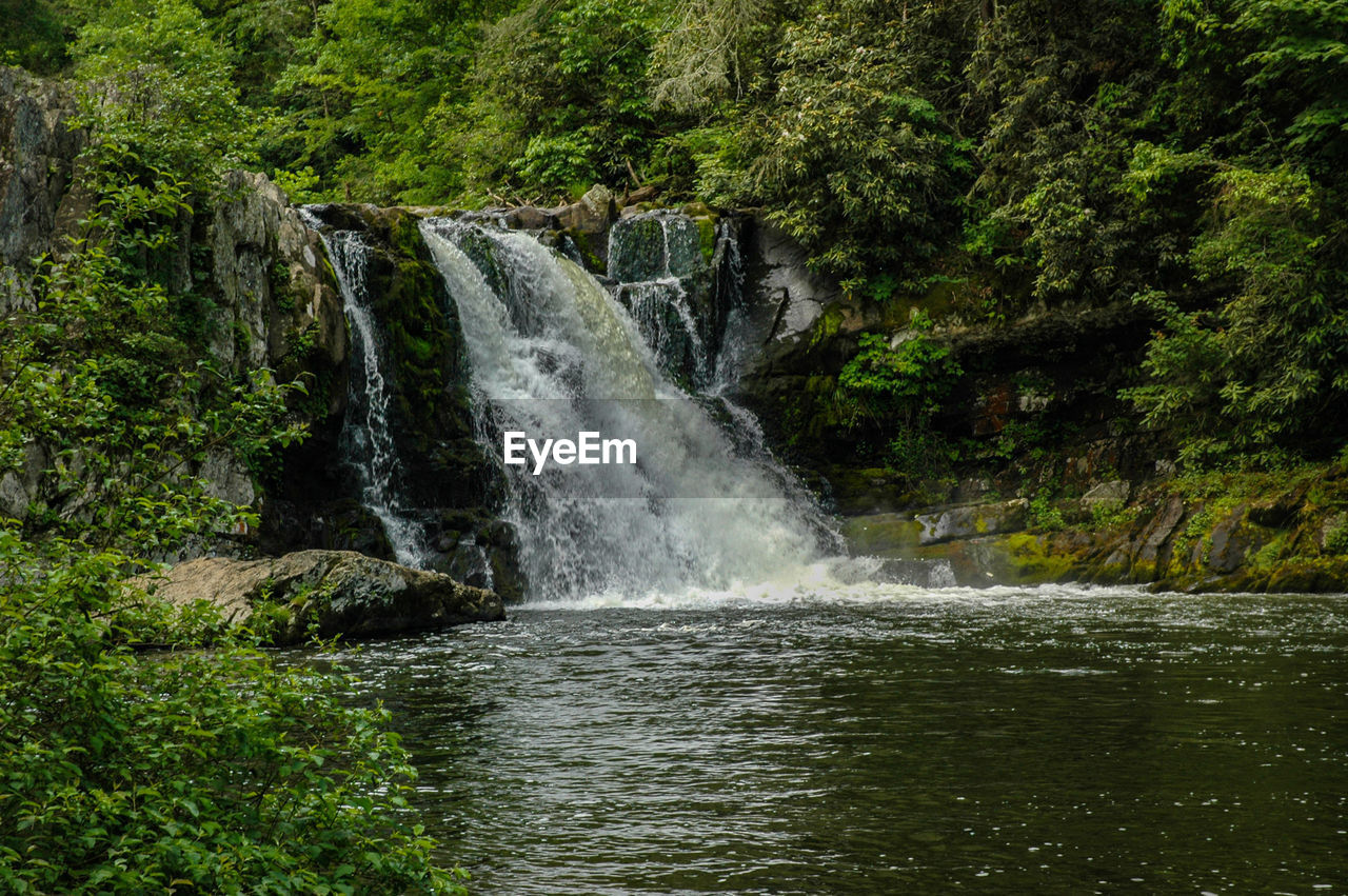 WATERFALL IN FOREST