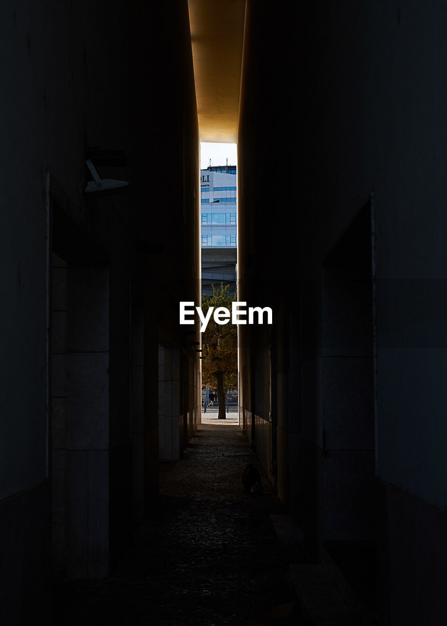 Empty alley amidst buildings in city