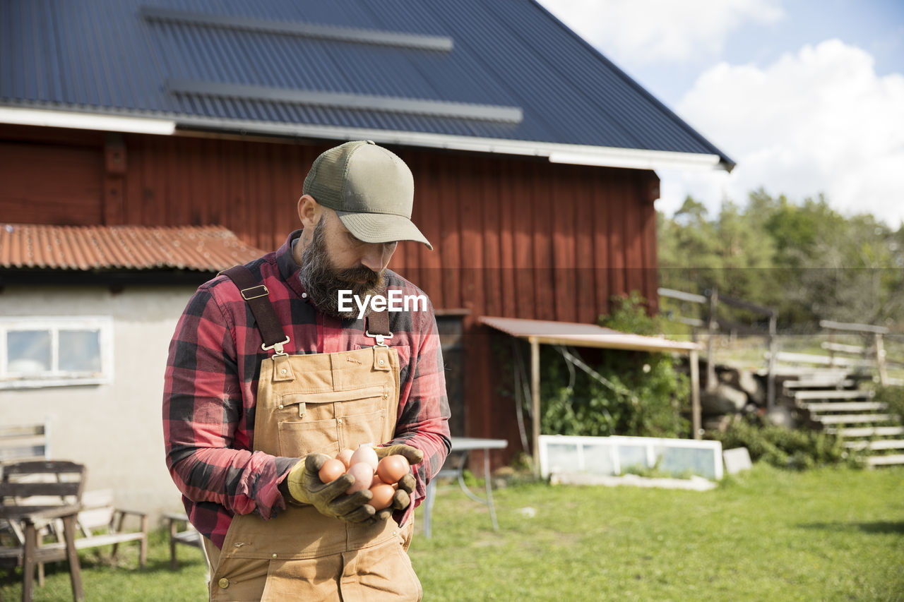 Male farmer collecting chicken eggs