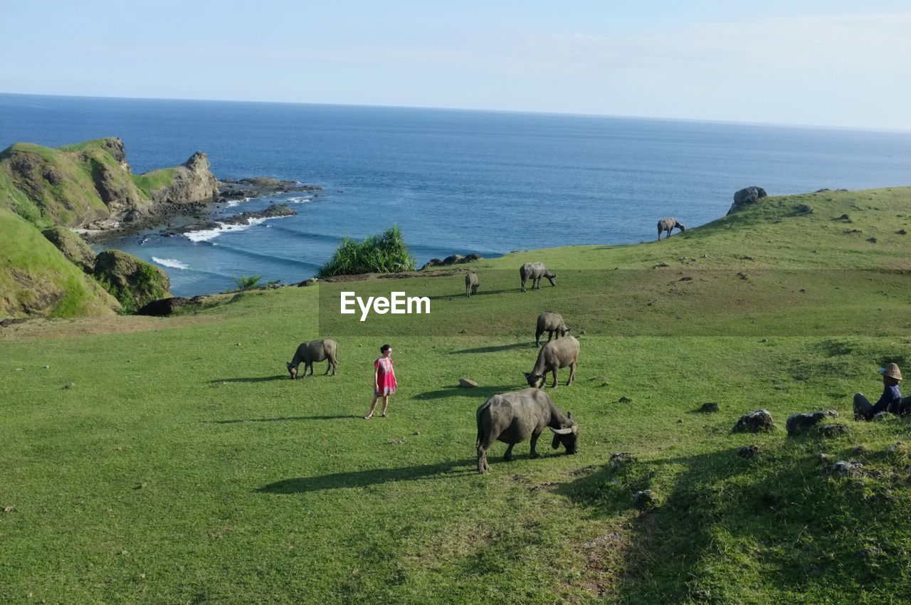 SCENIC VIEW OF SEA AND LANDSCAPE AGAINST SKY