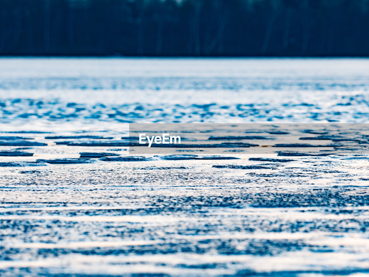 Bubbles and pieces of clear natural ice on frozen lake in evening sun. the melting changed lake