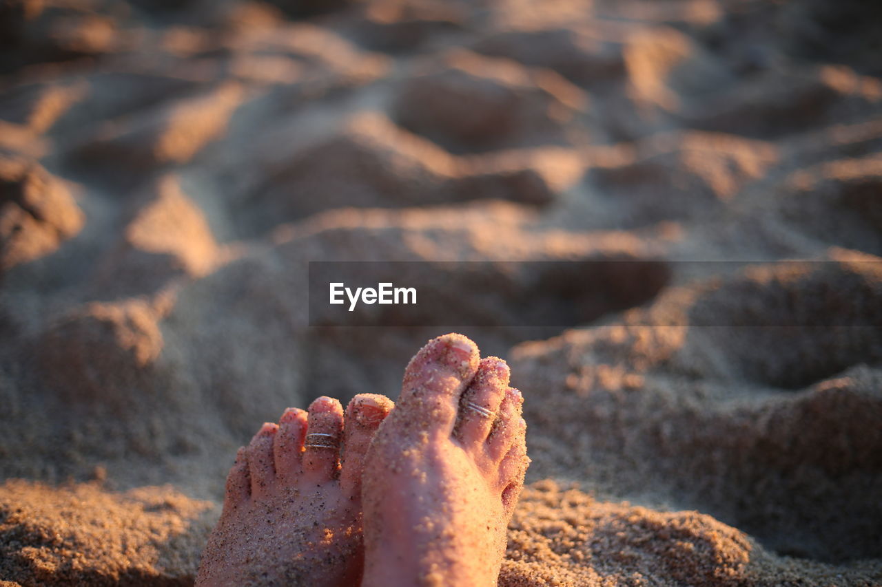 CLOSE-UP LOW SECTION OF PERSON ON SAND