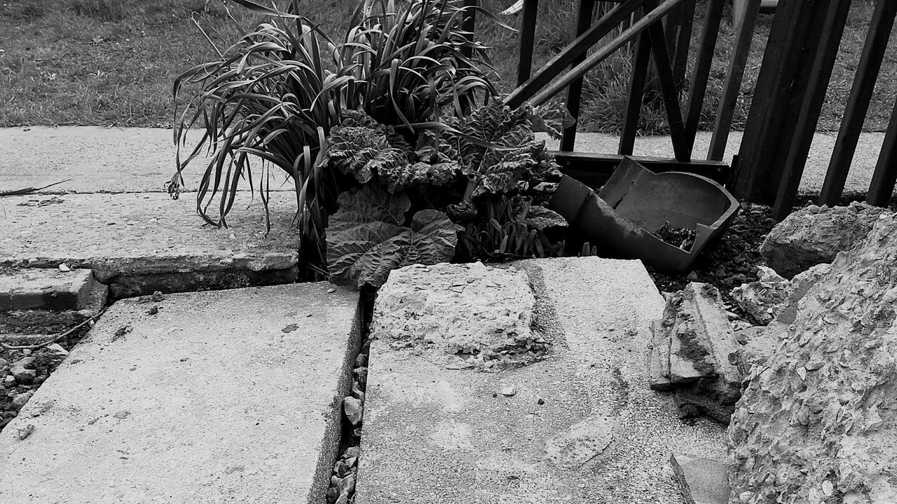 High angle view of damaged potted plant of footpath