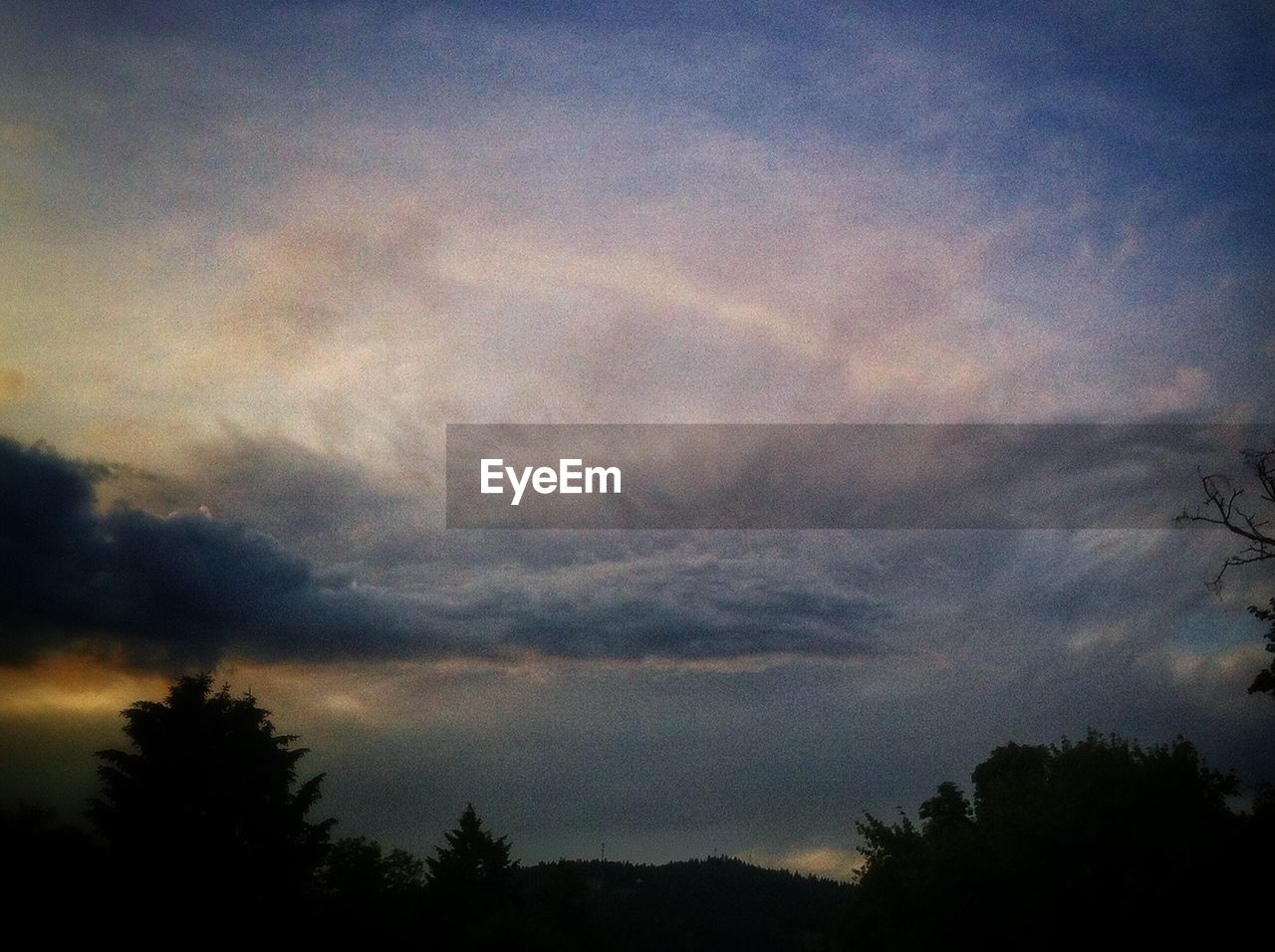 SILHOUETTE OF TREES AGAINST CLOUDY SKY